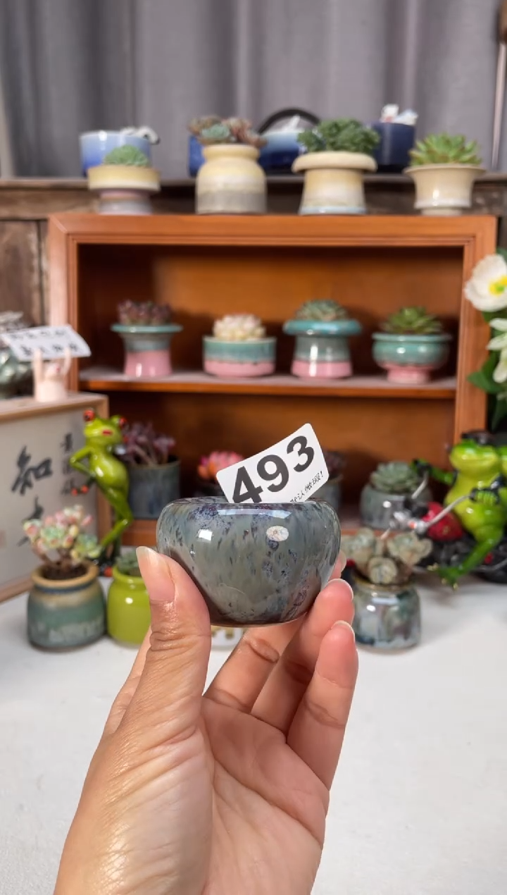 瓷片493小芳直播编号