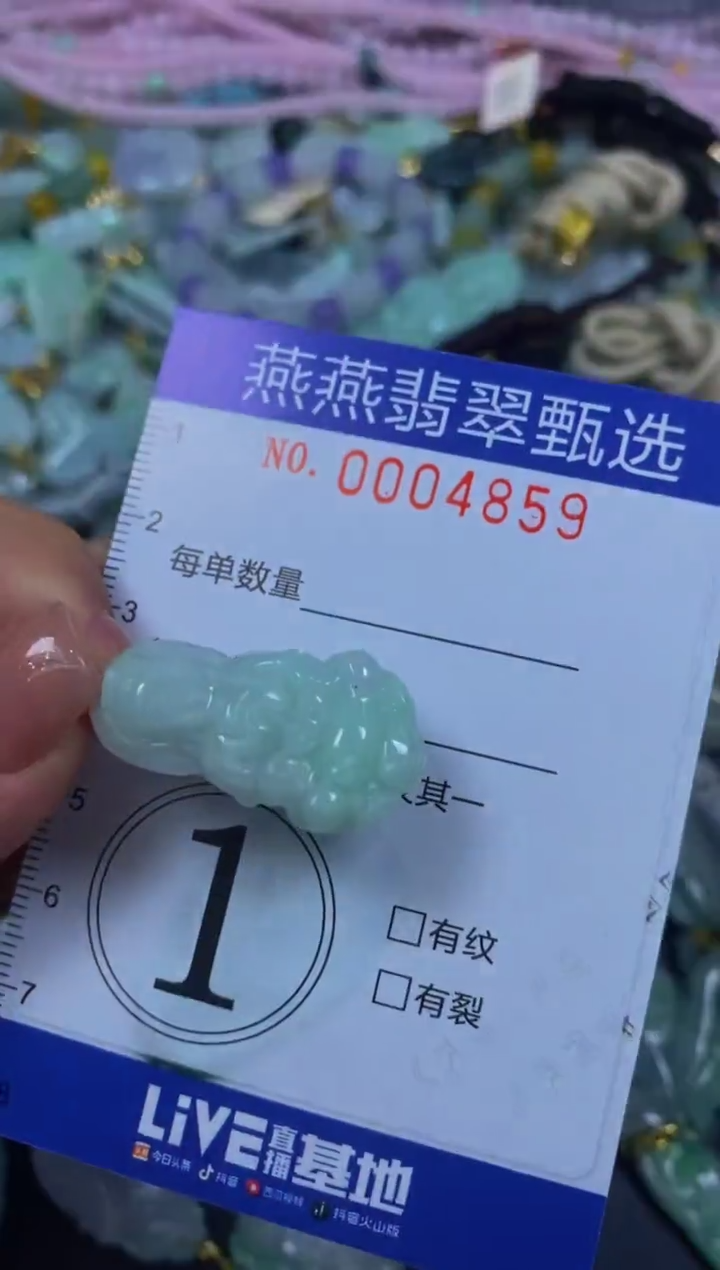 翡翠未镶嵌颈饰闪购0004859