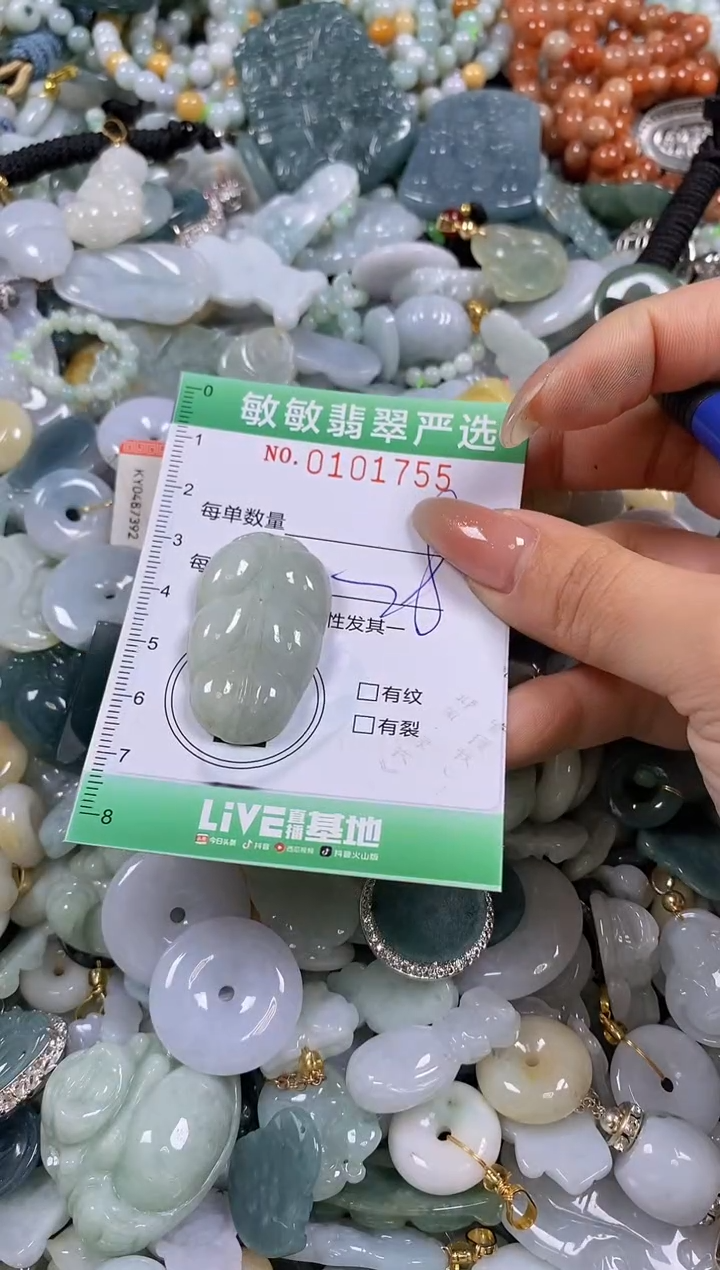 【闪购商品】翡翠颈饰未镶嵌闪购链接0101755