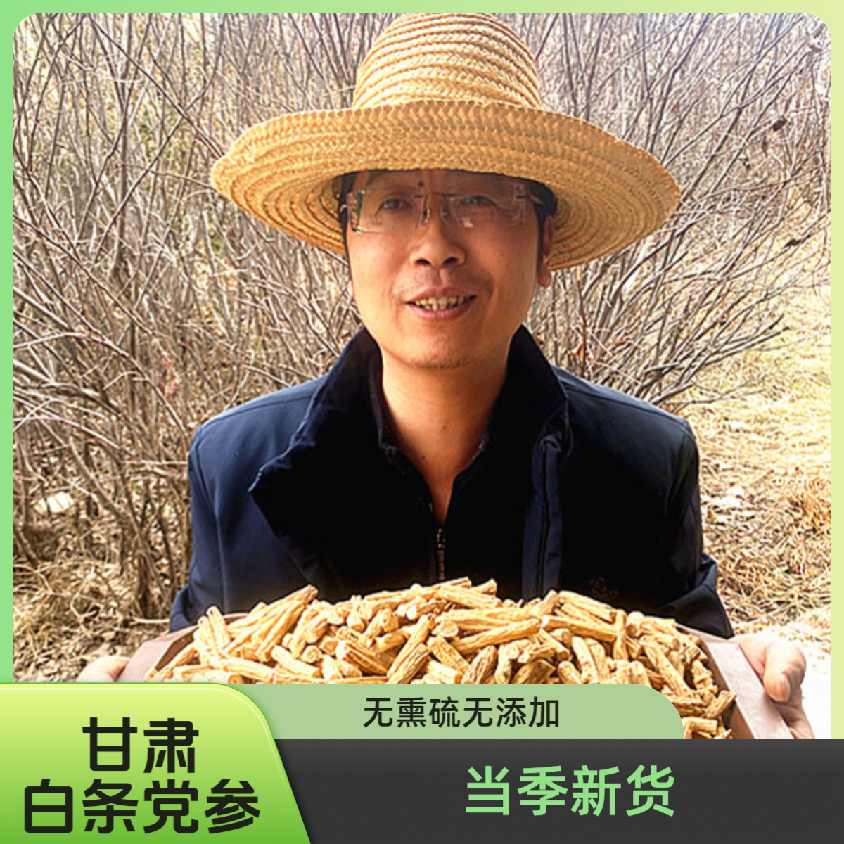 甘肃精品党参段无硫新货适合搭配黄芪麦冬西洋参党参产地直销