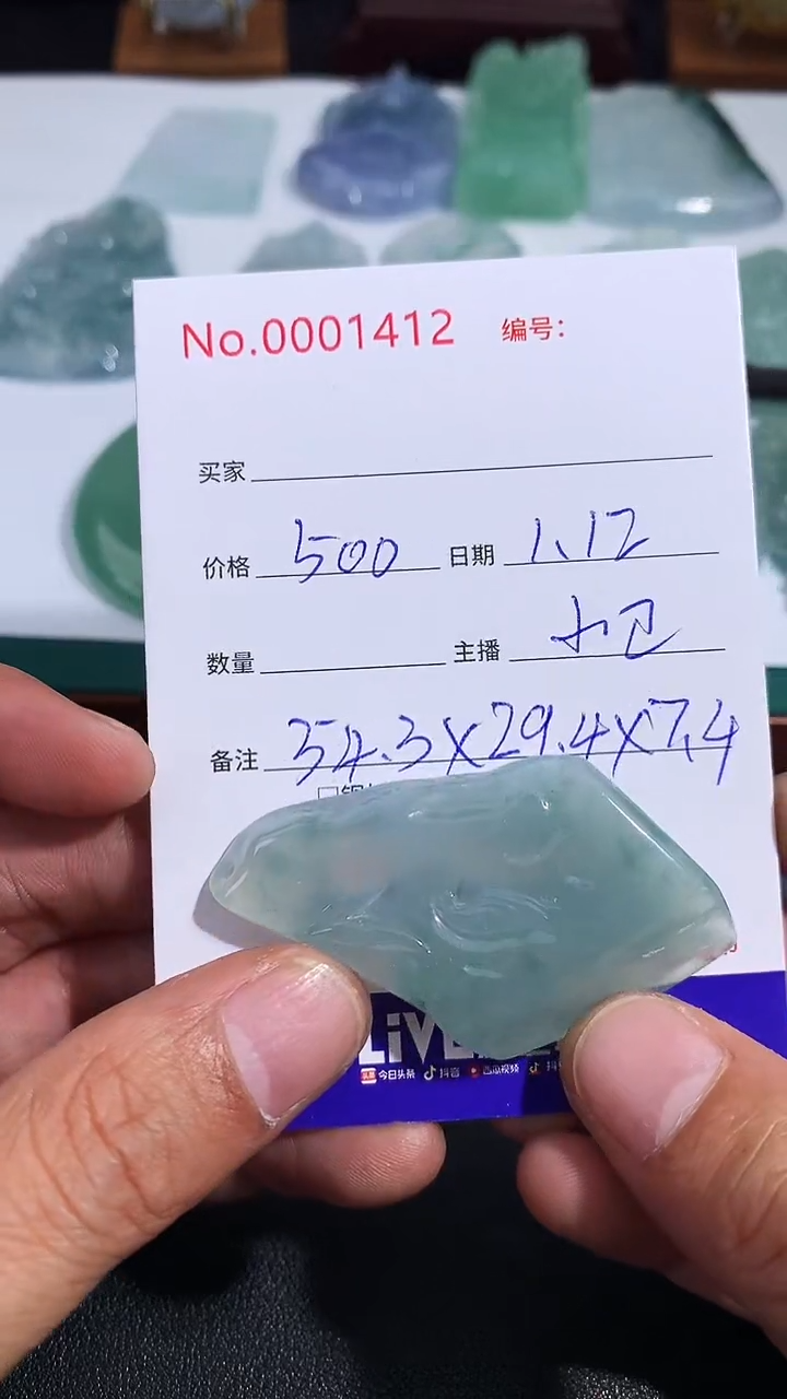 【闪购商品】翡翠颈饰未镶嵌悟道