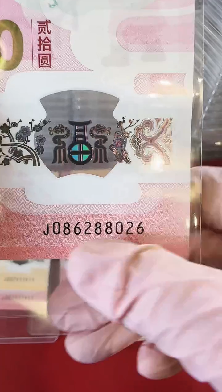 【闪购商品】塑料25蛇钞086288026单张裸