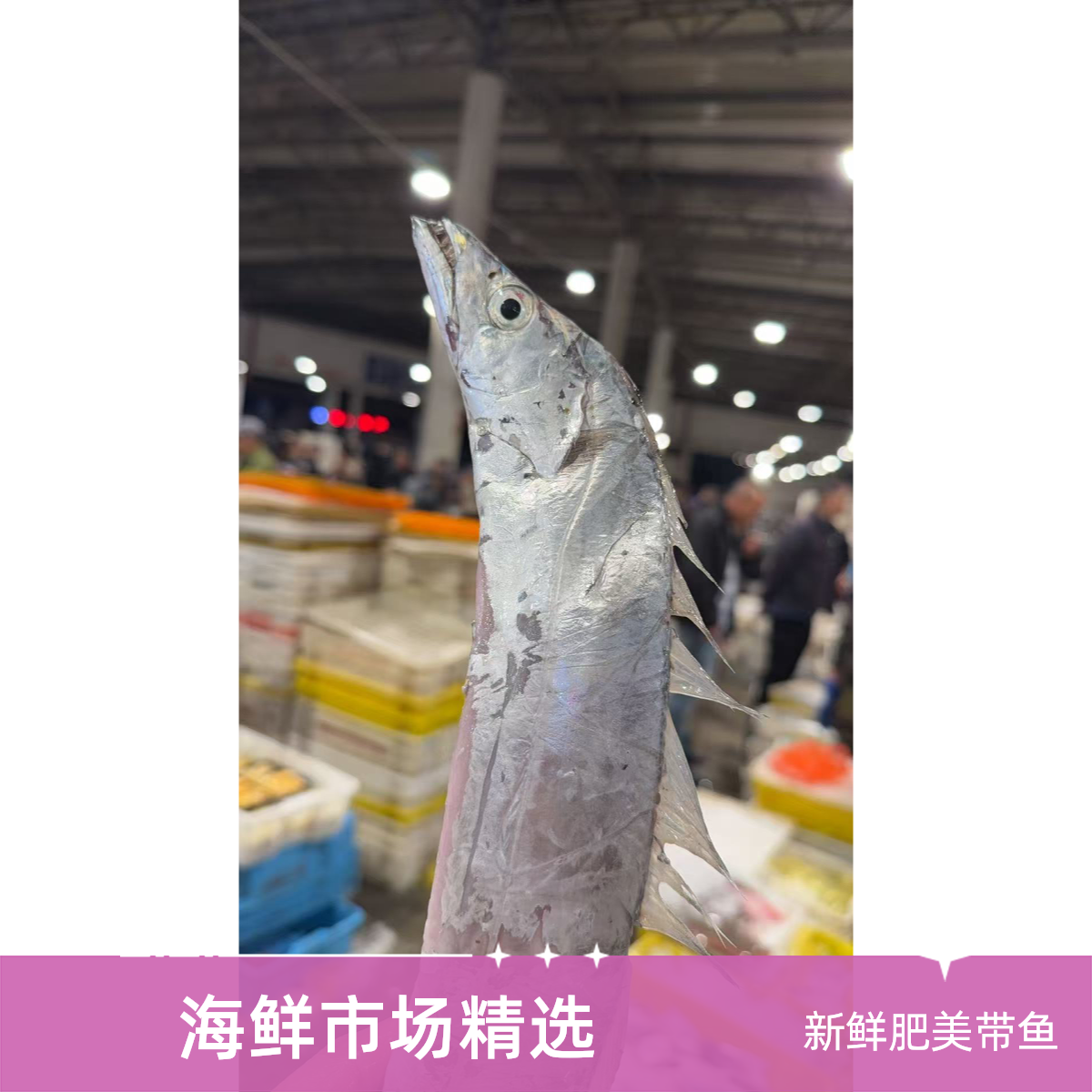 【4斤雷达网带鱼】东海野生海鲜海捕小眼带鱼小网海鲜顺丰包邮