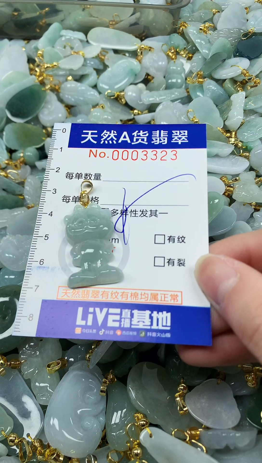 颈饰未镶嵌翡翠纯天然a货翡翠