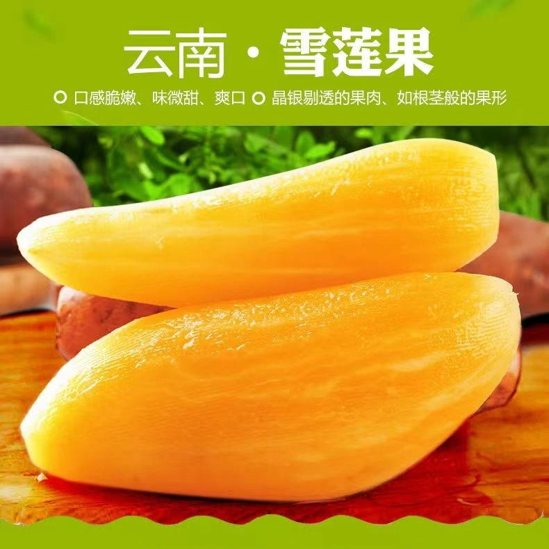 【琪琪专属】正宗云南天山雪莲果新鲜带箱5斤 5-8个 大果送削皮刀