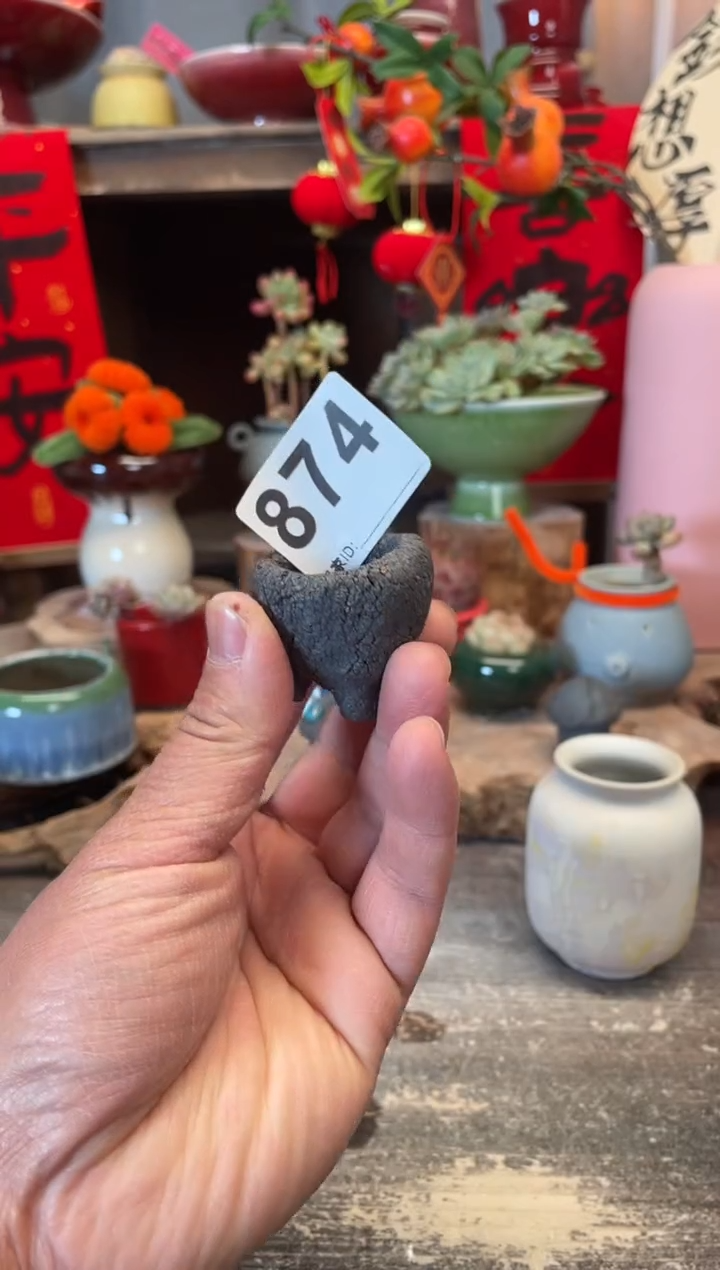 【闪购商品】摆件874知木小芳花盆