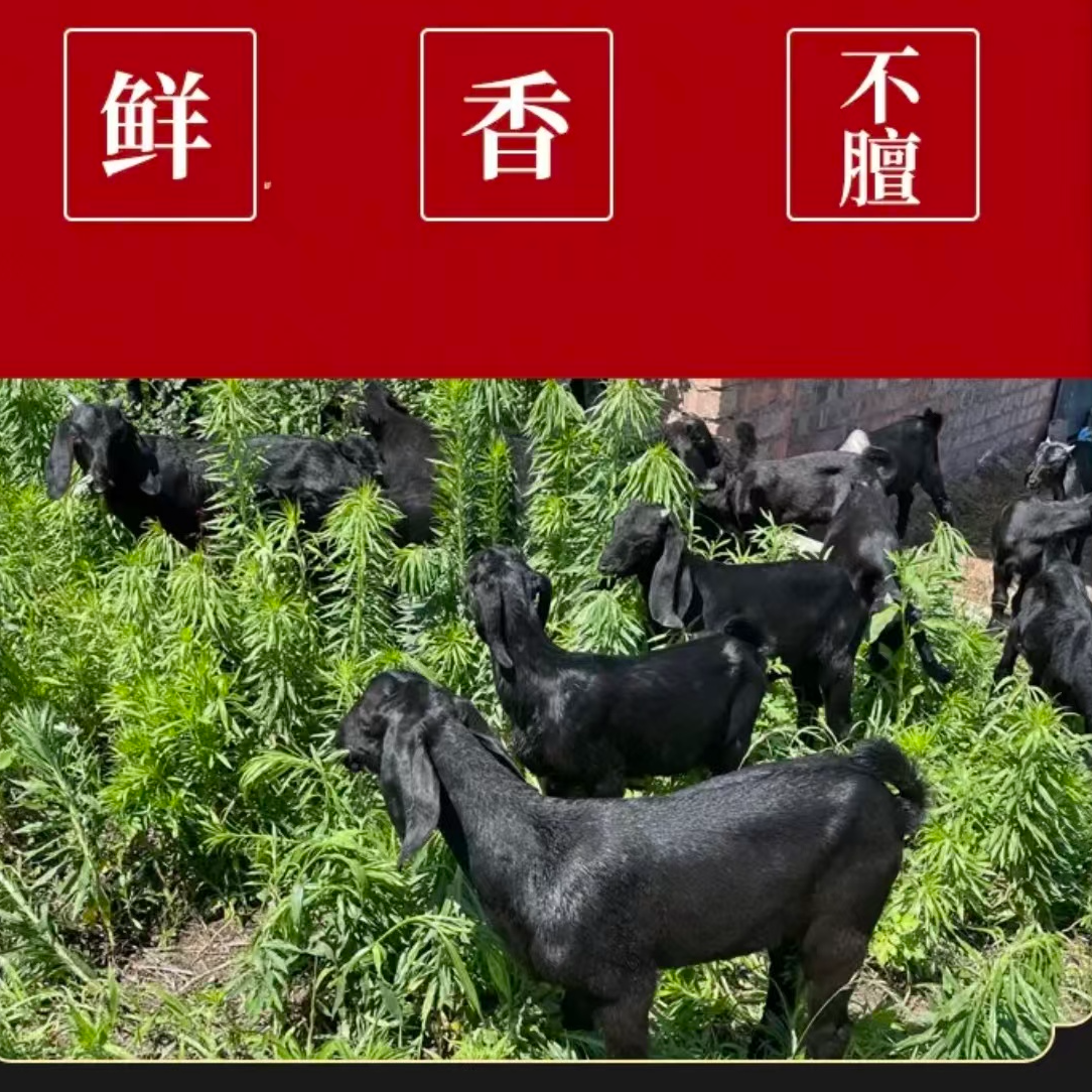 ③生态黑山羊（拍5.6斤得5.9斤羊后腿）活羊现宰 顺丰冷链包邮