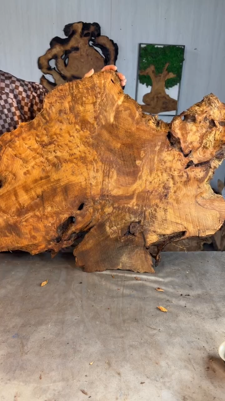 香杉木木头款杉木瘤挂件【原料】017