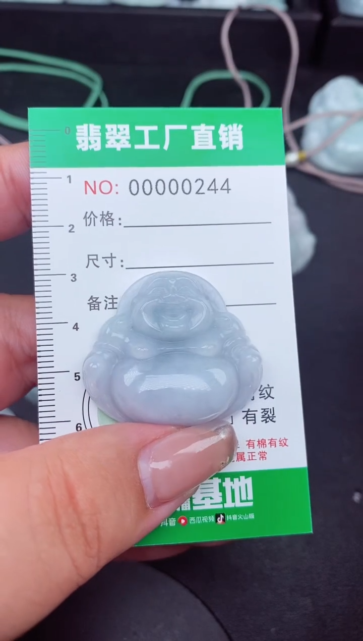 翡翠未镶嵌颈饰缅甸天然A货翡翠0244