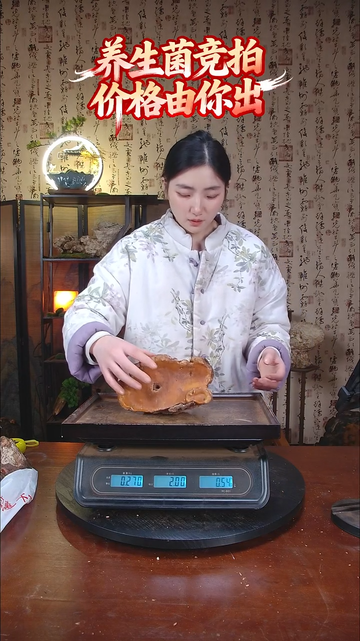 红豆灵芝中国大陆【藏区野生】红豆灵芝（0.5斤）