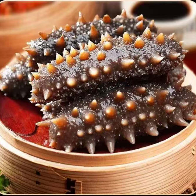 【大连长海/大个头/春母海参/】4-10头【鲜蒸即食辽参】高品质口感Q弹
