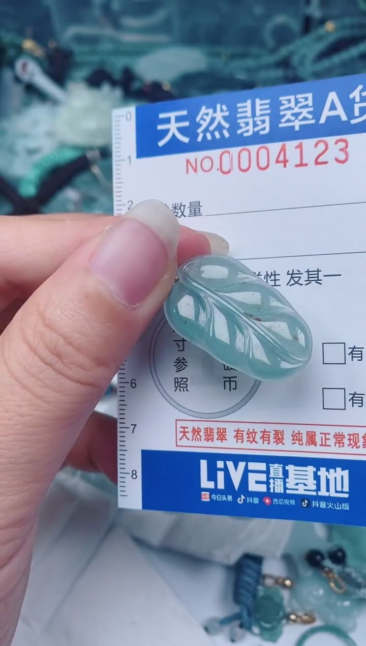 颈饰未镶嵌翡翠00004123