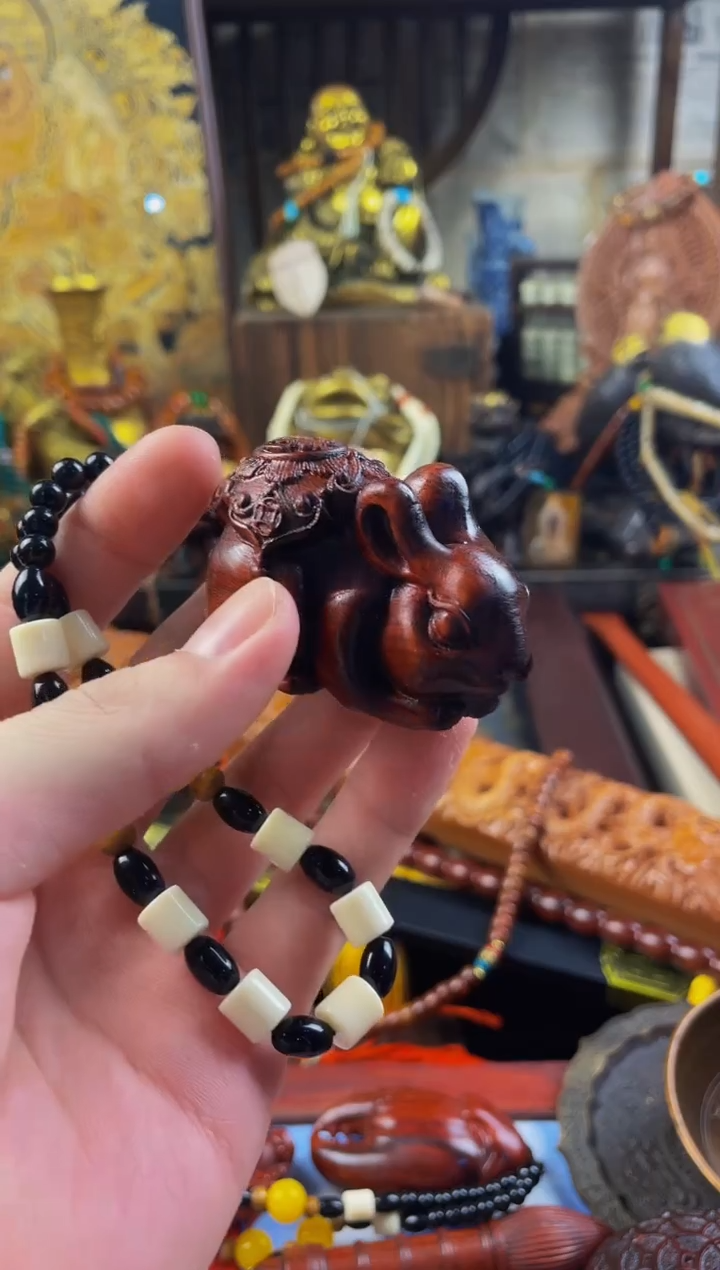 木贰号院直播精选推荐