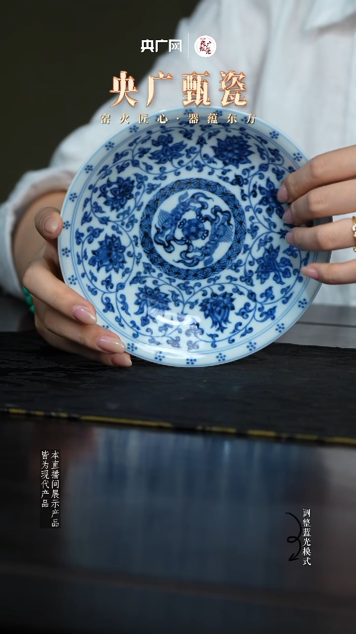 【央广甄瓷】逸古堂61