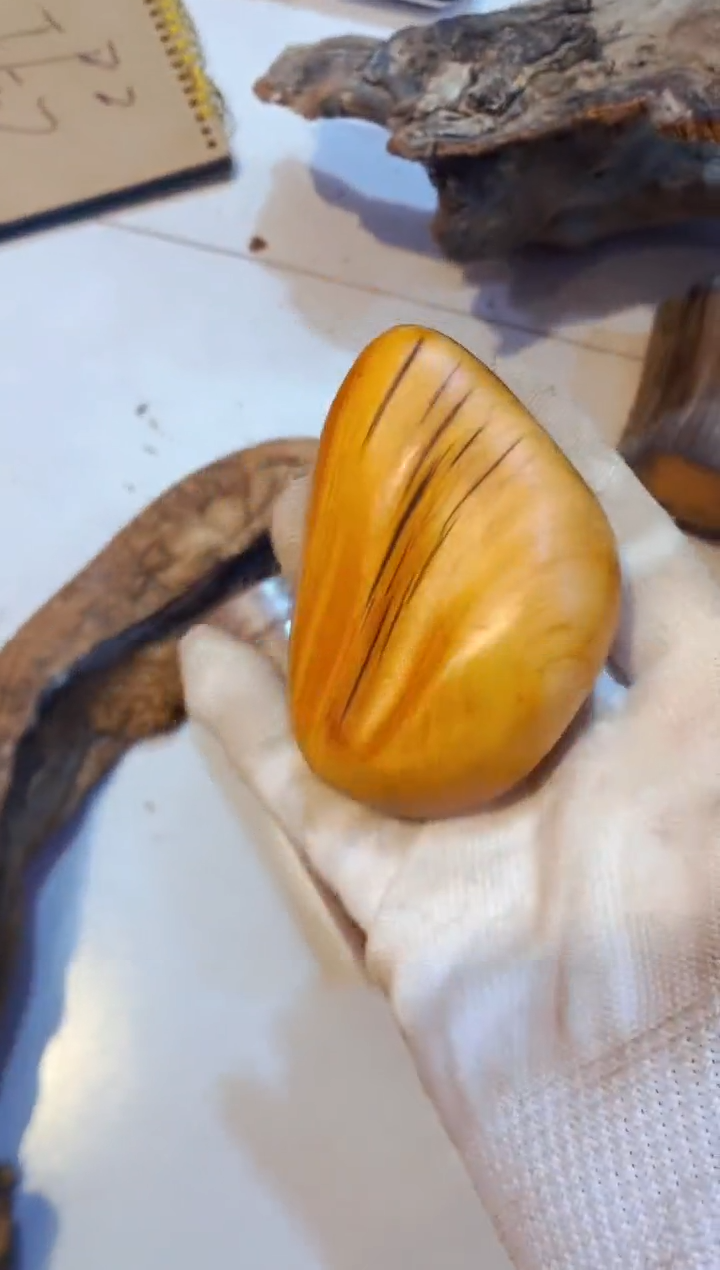 柏木（崖柏）79北太行崖柏手把件手串