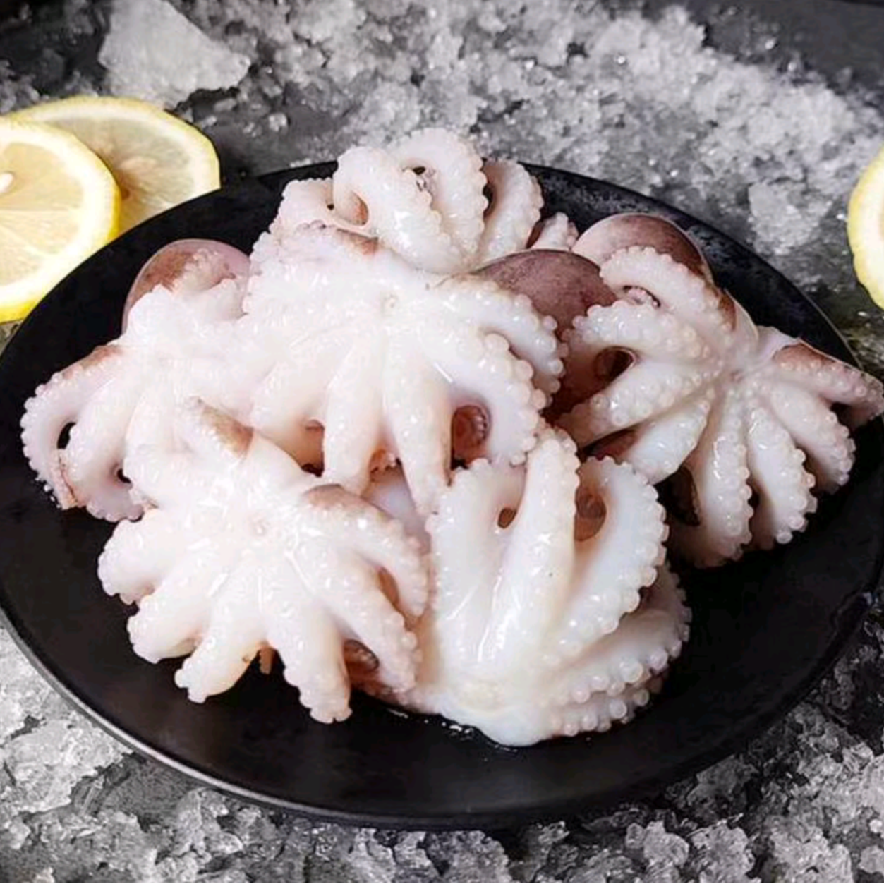 冷冻小八爪鱼 约500g （散称）