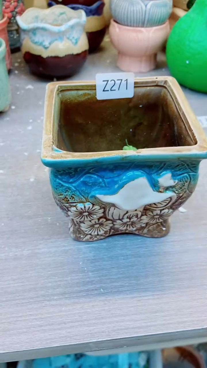 @@陶瓷多肉花盆Z271