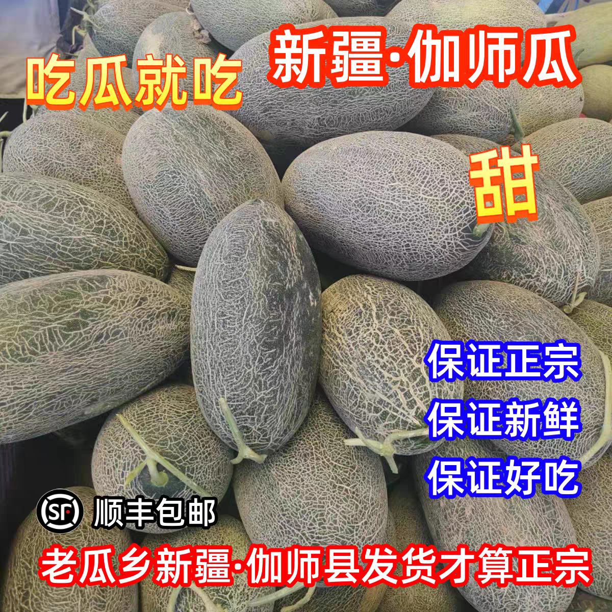 正宗新疆特产伽师瓜当季新鲜水果全网纹绿皮哈密瓜天下第一瓜包邮