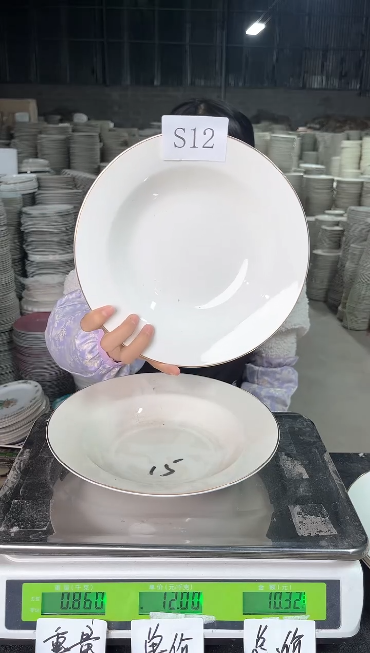 【闪购商品】瓷S12  9英寸 2个