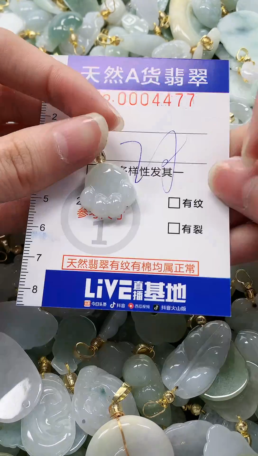 颈饰未镶嵌翡翠纯天然a货翡翠