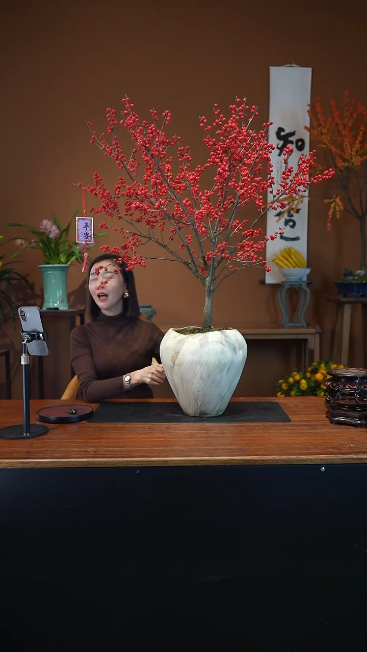 全部花朵欧***间冬青盆景盆景盆景