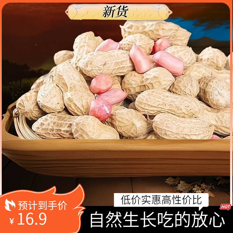 【带壳干花生】新鲜正宗黄河沙地原产区高品质大颗粒花生可吃可种