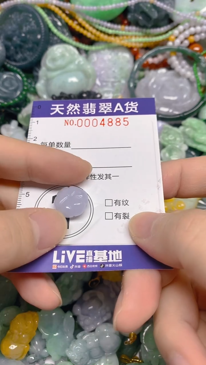 颈饰未镶嵌翡翠0004885