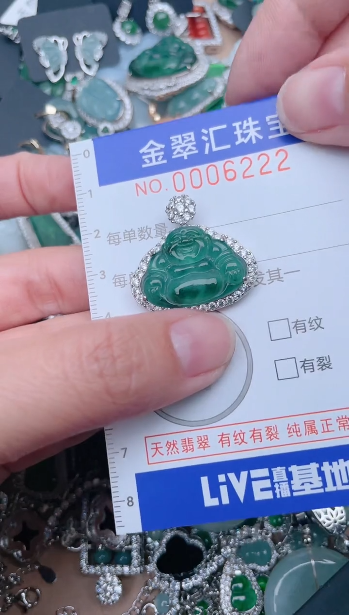 【闪购商品】翡翠颈饰未镶嵌6222.....1