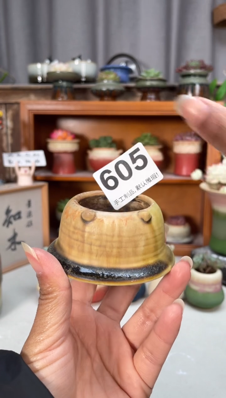 瓷片605小芳直播编号