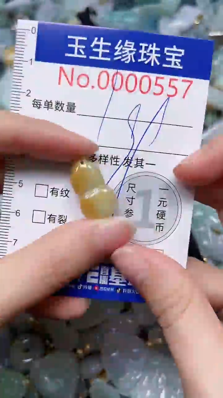 【闪购商品】翡翠颈饰未镶嵌闪购0000557