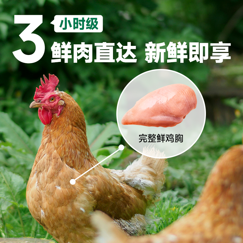 【专属】食物链鲜粮巴氏M98小仙包猫咪营养主食猫鲜粮