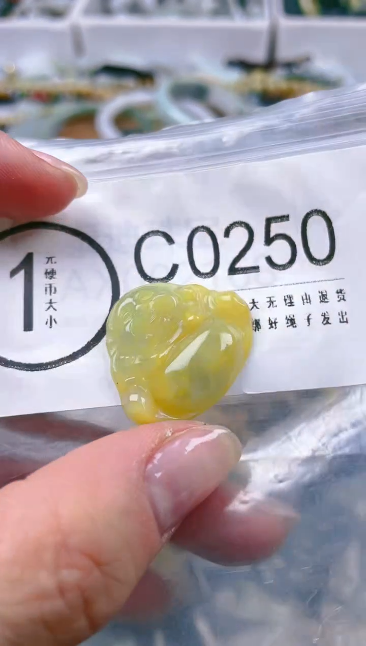 【闪购商品】翡翠颈饰未镶嵌51-52/C/翡翠A货一图一物