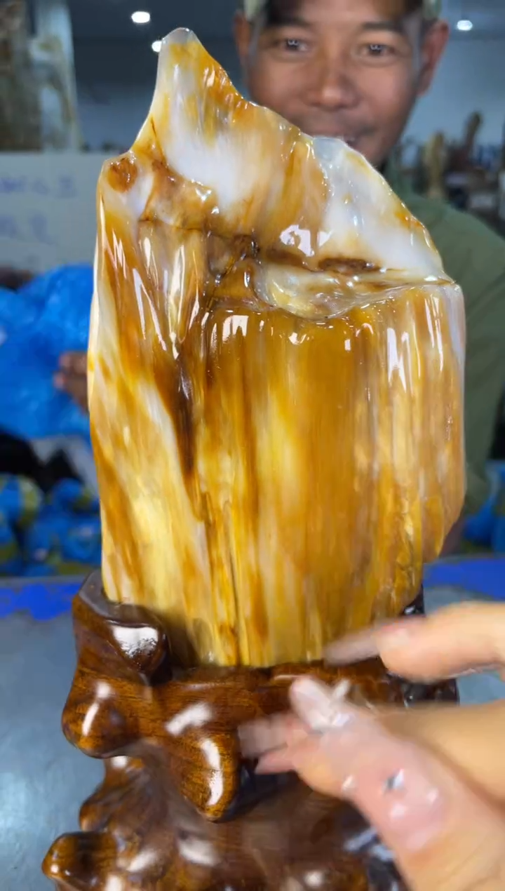 未镶嵌摆件硅化玉13