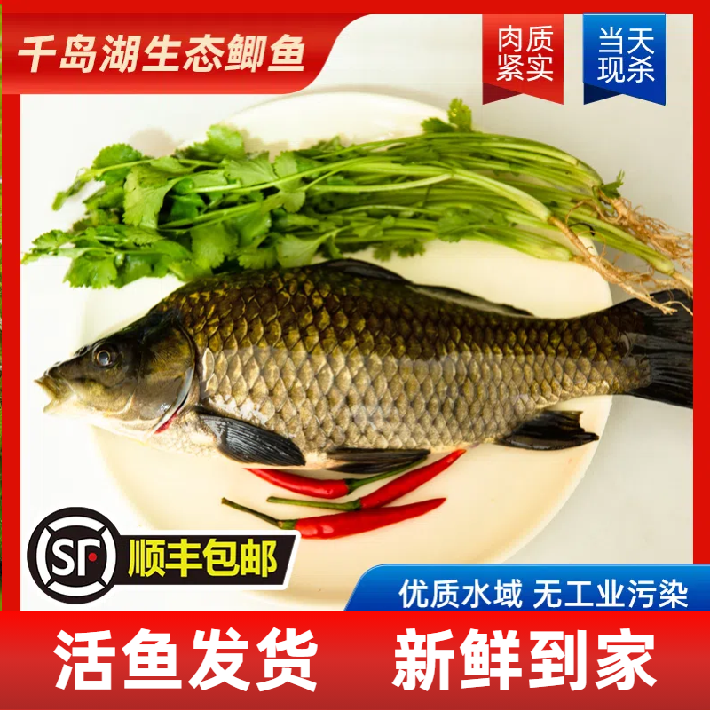 【活鱼-生态鲫鱼】淳鲜舫千岛湖生态鲫鱼3条现捕捞活鱼发顺丰