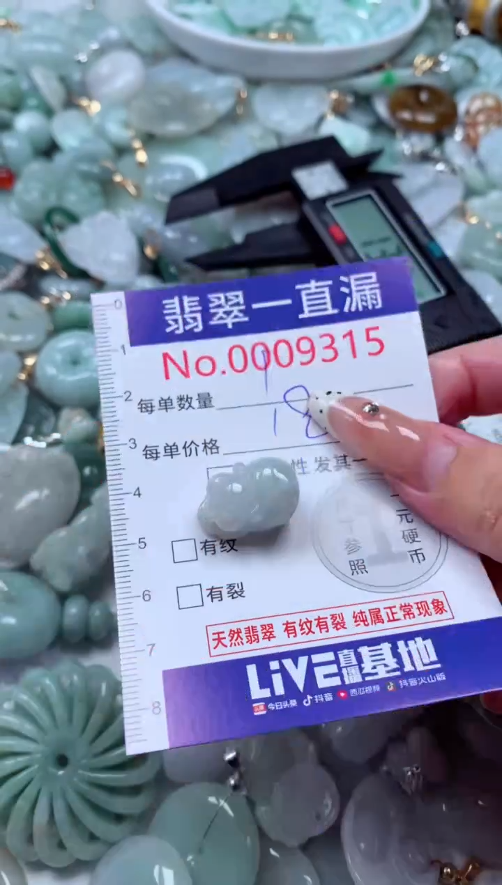 翡翠未镶嵌吊坠(不含链)9315