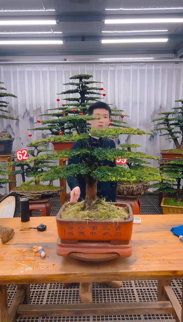 【闪购商品】紫砂精品盆景直播间一物一拍