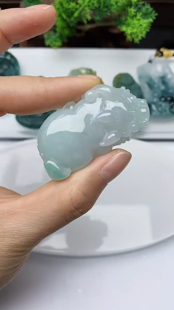 【闪购商品】翡翠颈饰未镶嵌