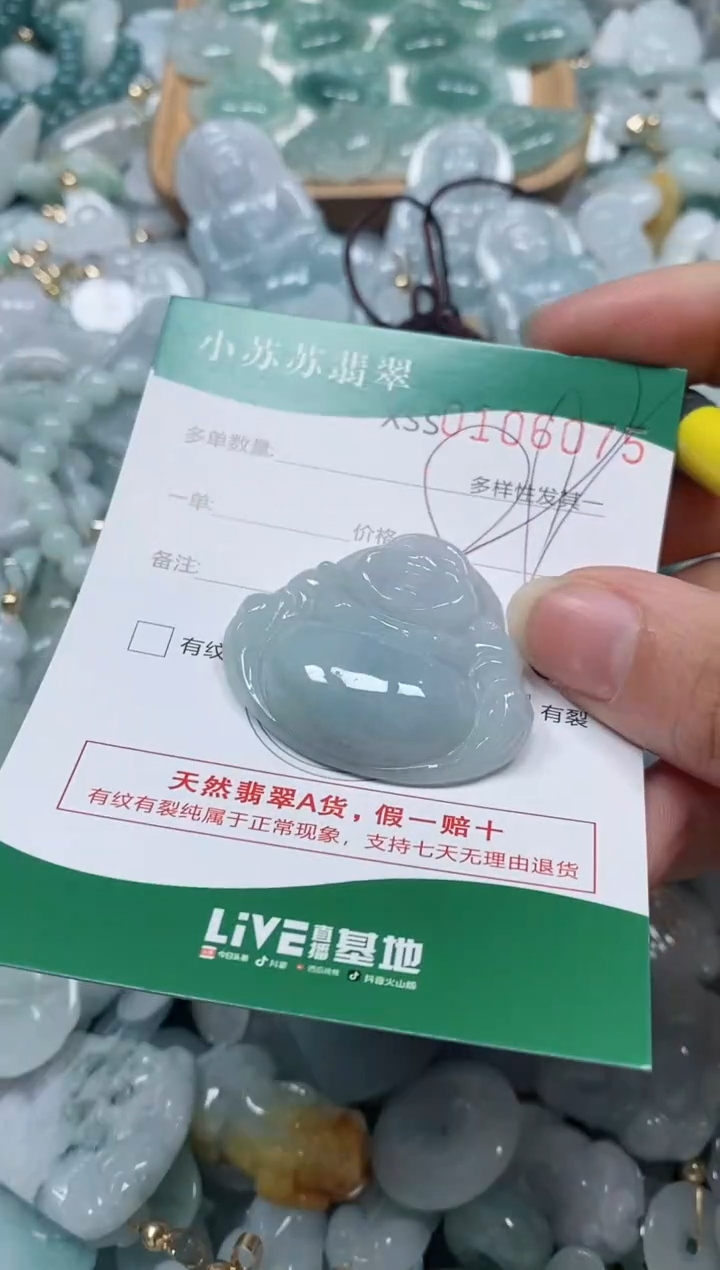 【闪购商品】翡翠颈饰未镶嵌闪购商品0106075