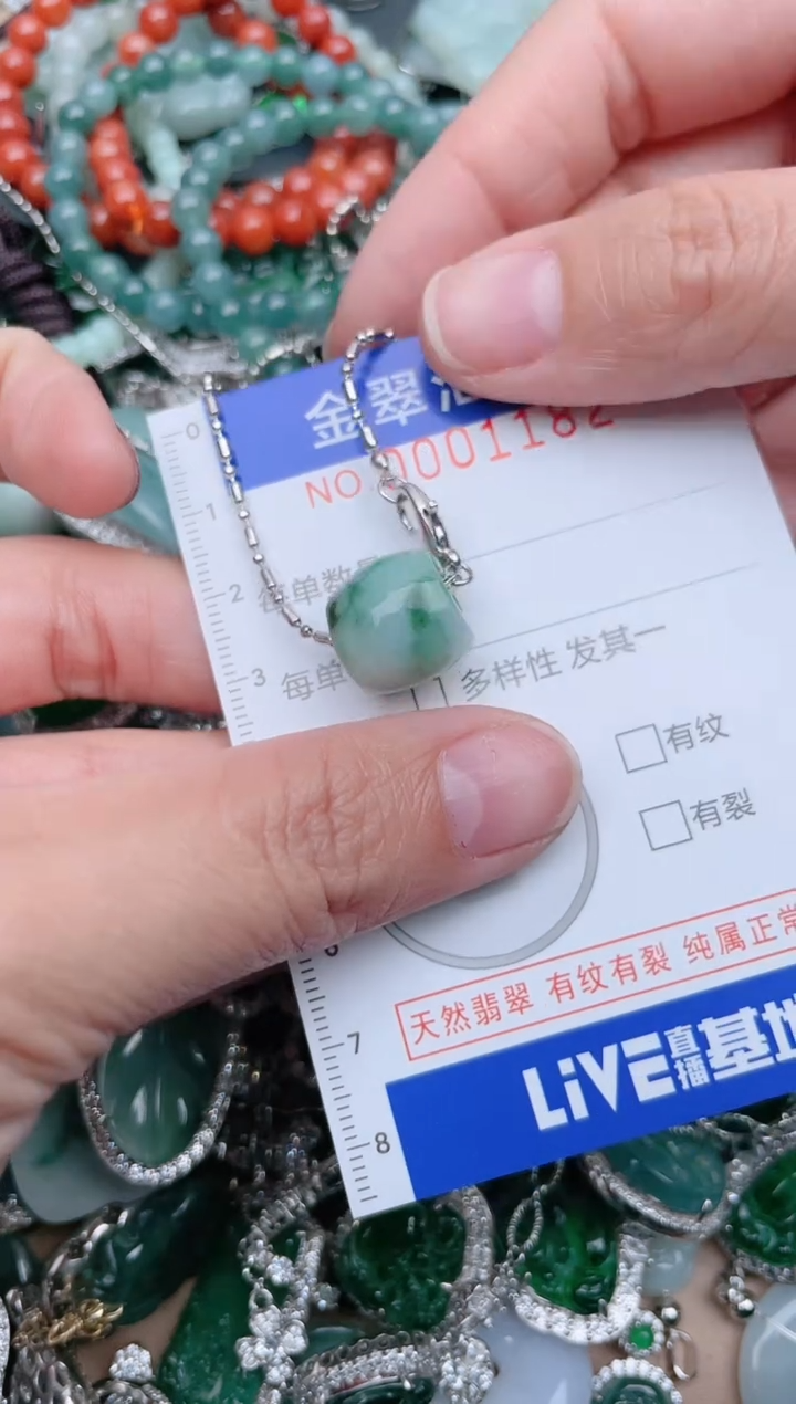 【闪购商品】翡翠颈饰未镶嵌1182..........