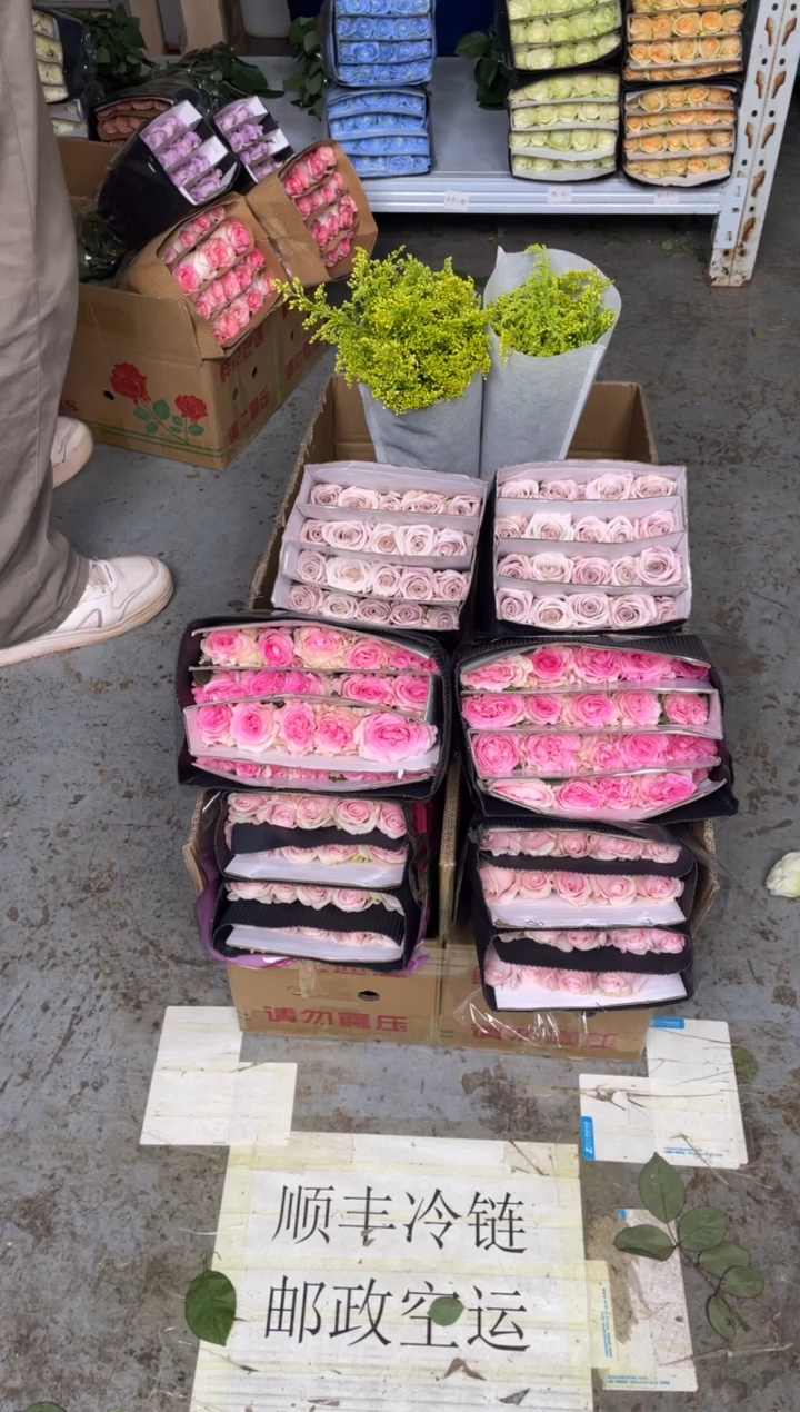 粉红20枝+洛神20枝+曼塔20枝+黄莺