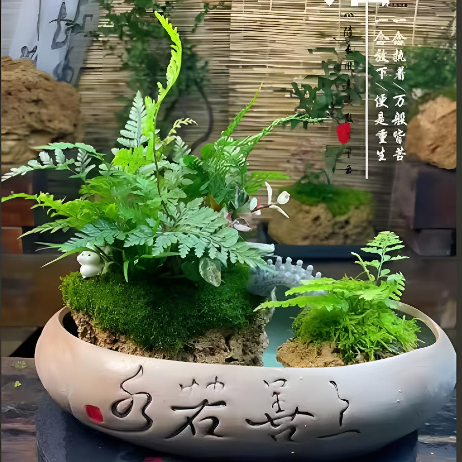 观山景吸水石室内绿植盆景（一物一拍）（请勿盲拍）