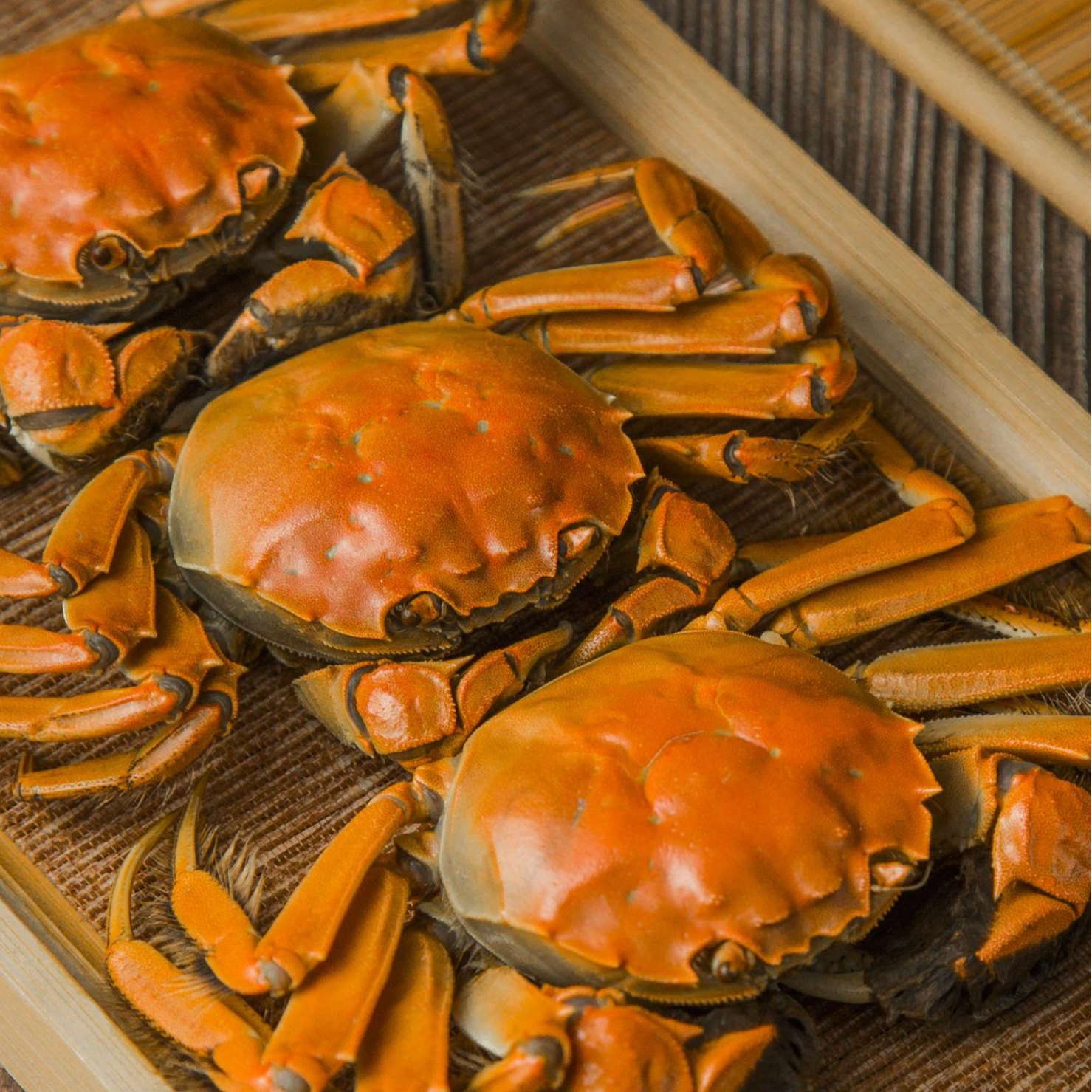 活蟹【金标大闸蟹】公5-4.7两母4-3.7两 加2只到手10只 礼盒顺丰