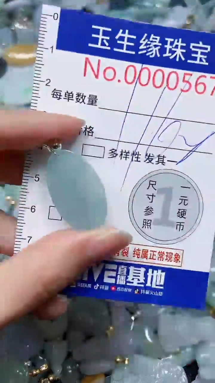 【闪购商品】翡翠颈饰未镶嵌闪购0000567