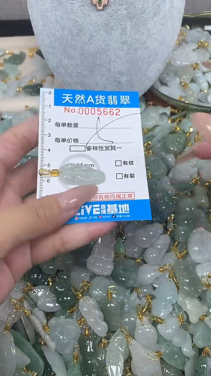 翡翠未镶嵌颈饰净货挂件-5662