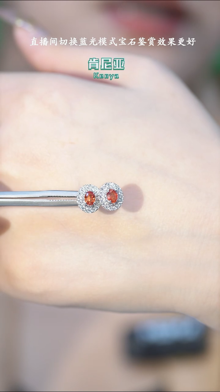 【闪购商品】彩色蓝宝石耳饰银S925镶嵌ZY-GDSFDE553