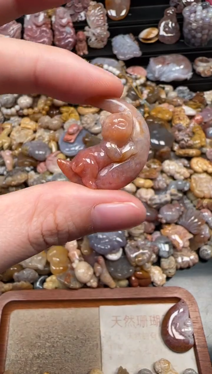 颈饰未镶嵌硅化珊瑚（珊瑚玉）171