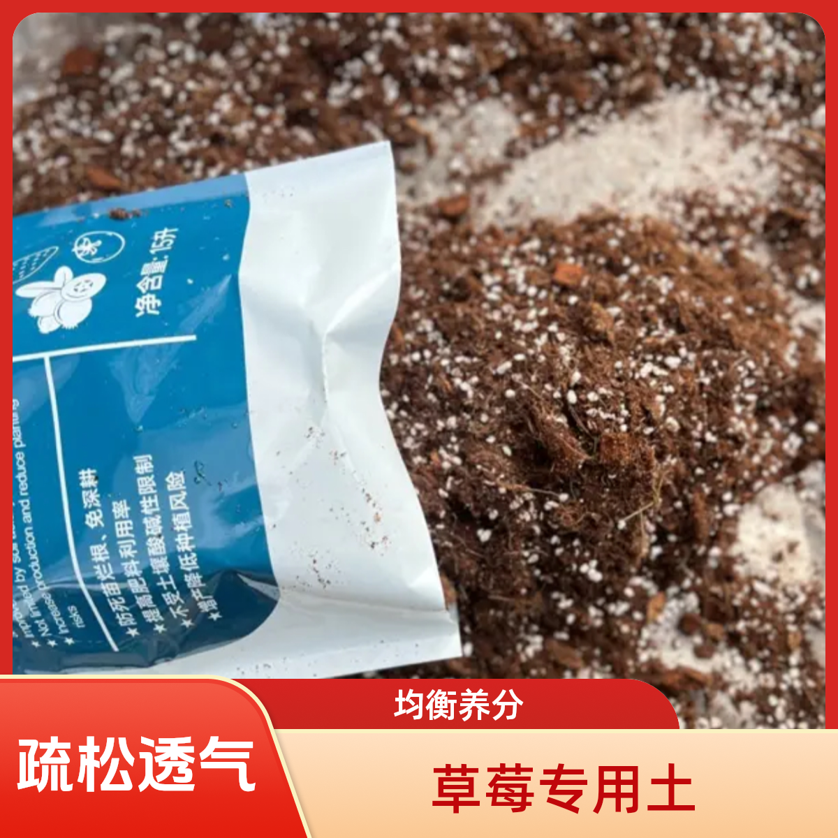 草莓苗专用土草莓专用介质土 透气通水
