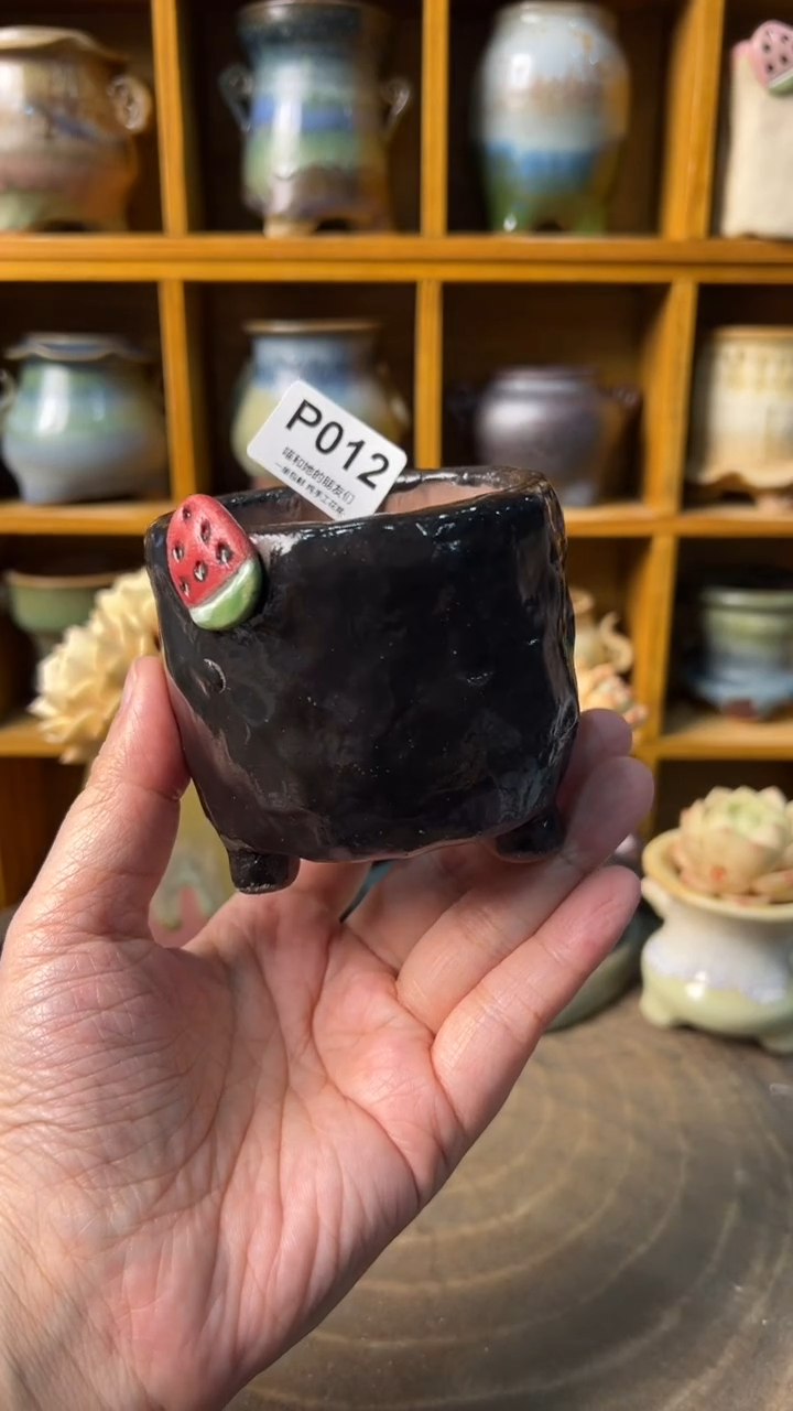 其****酱微瑕012 【多肉花盆多肉盆】