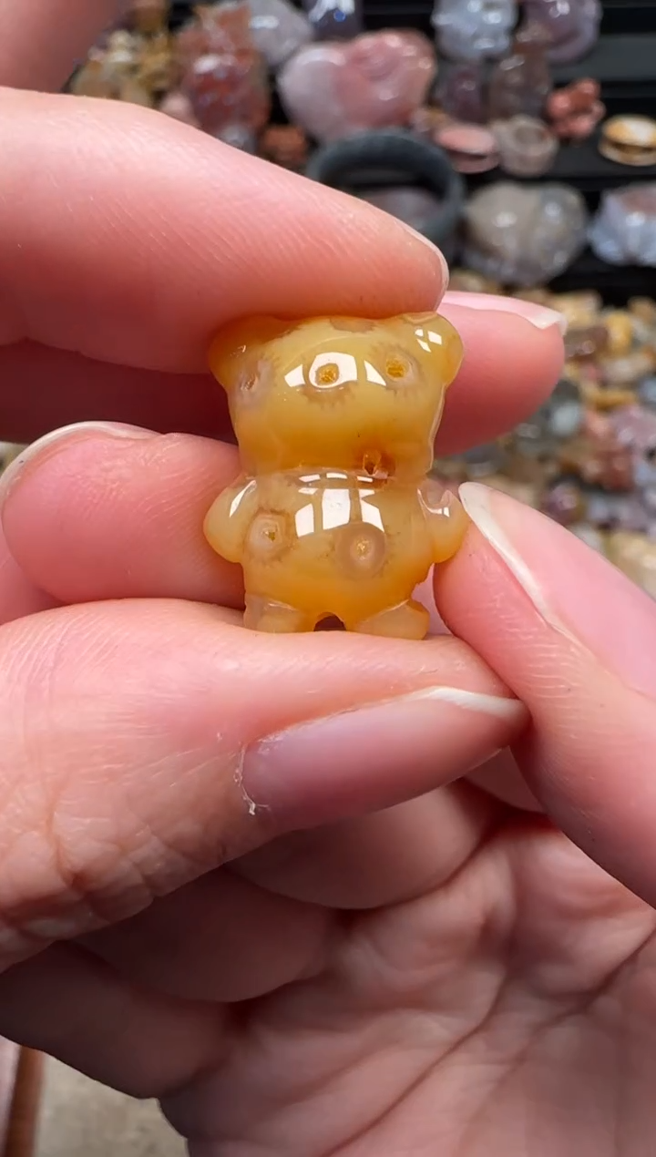 颈饰未镶嵌硅化珊瑚（珊瑚玉）203