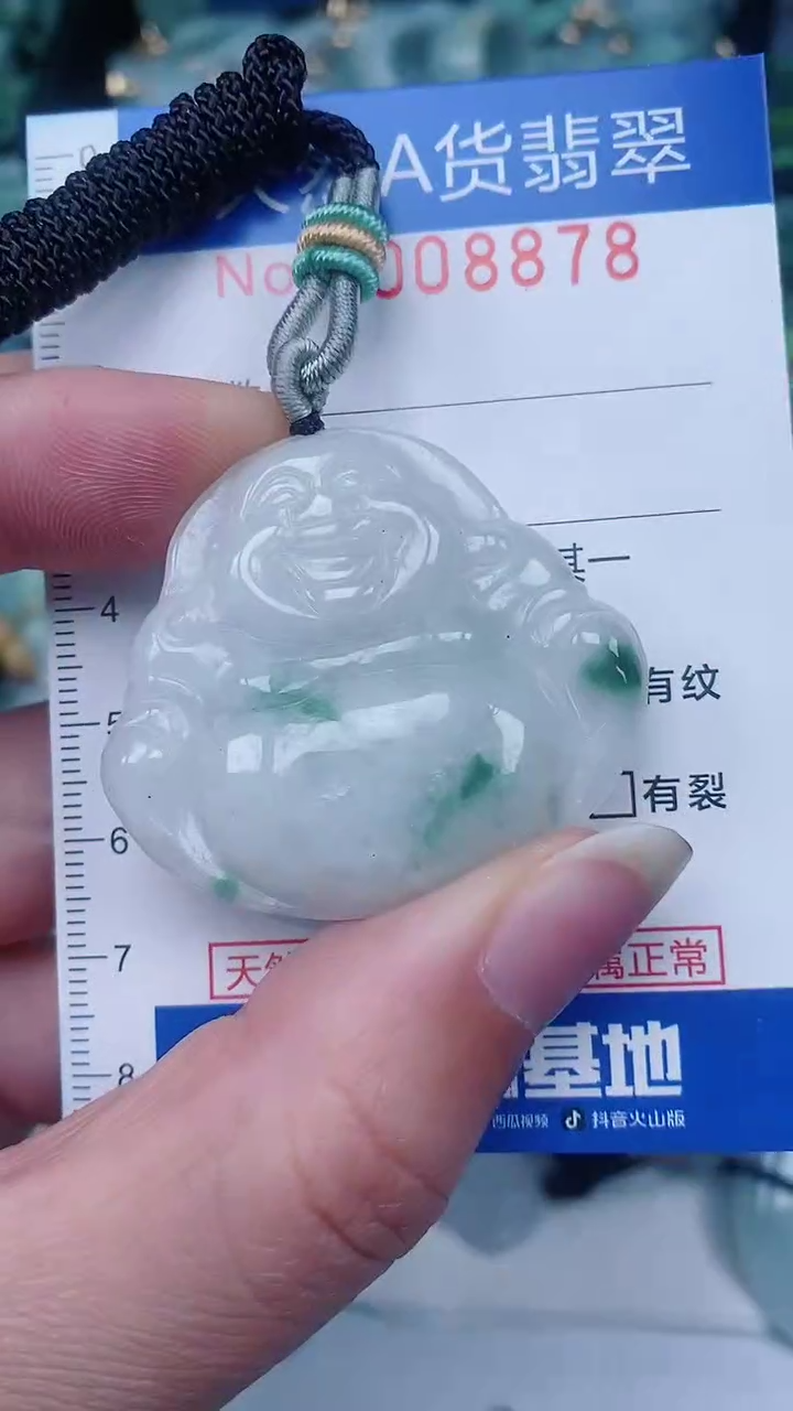 翡翠未镶嵌颈饰00008878